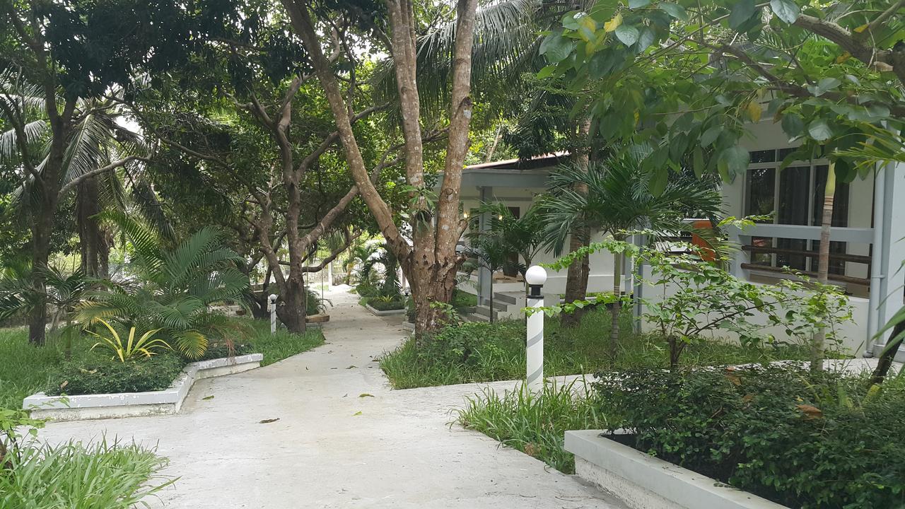 Coconut Beach yakınında 80m2 stüdyo , 1 banyolu Derm Tkov Village Dış mekan fotoğraf