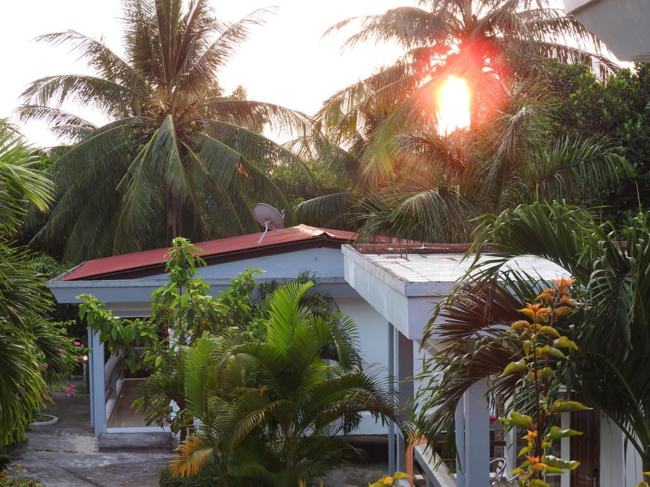 Coconut Beach yakınında 80m2 stüdyo , 1 banyolu Derm Tkov Village Dış mekan fotoğraf